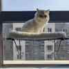 Window Mounted Cat Perch Cute Soft Cat Bed Window Shelf Hammock Window