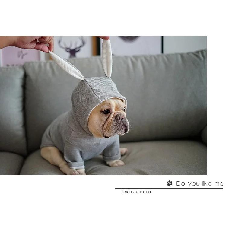 Pet Dog Clothes Cute Rabbit Ear Design For Small Dogs Coat Winter Dog Hoodies Puppy Cat Clothing For Dogs Pug French Bulldog