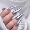 2 IN 1 Cat Eye Magnetic Mirror Effect Powder For Nail Art Decoration Aurora Electroplating Glitter Can Use With Polish Gel
