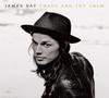 LP Record JAMES BAY  Chaos And The Calm 7859906 Mercury 2025 Non Japan Rock