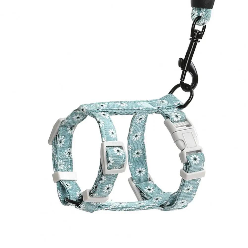 1 Set Excellent Firm Stitching Cat Leash Chest Harness Long Strap Pet Traction Rope Back Strap Buckle Pet Dog Cat Accessories