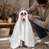 Pet Halloween Cape Costume, 70-100