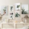 Yeşil Yaprak Bitki Manzara Resimleri Saksı Bitkileri Çiçek Sabah Güneş Tuval Sanat Baskılar Posteri Duvar Resimleri Odası Dekor Için