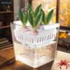 Dual-Use Hydroponic Tank - Plastic Aquarium and Plant Pot for Indoor Gardening & Fish Keeping