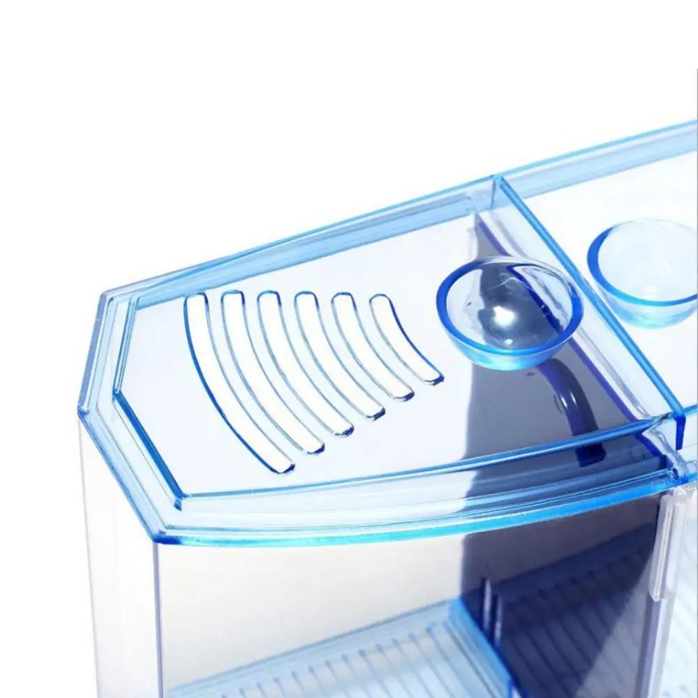 Transparent Betta Fish Tank Plastic Single/Double Grid Double-grid Betta Isolation Box Betta Isolation Box with Water Grass