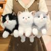 2026 New Exquisite Ragdoll Cat Plush Toys Fluffy Cozy Lying Prone Pet Cat Doll Cute Kids Appease Doll Pretty Gift To Friends