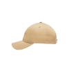 Champion Unisex Casual Sport Sun Protection Cap 25FWH61