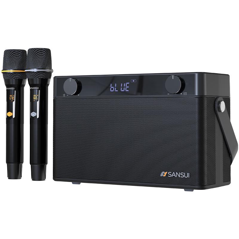 Portable Outdoor Karaoke & Instrument Speaker G2