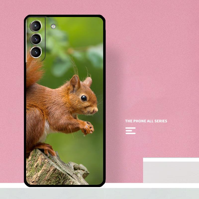 Squirrel Phone Case For Samsung Galaxy S25 S26 Ultra S20 S21 S22 S23 S24 Plus S10 S25 FE Cover Coque