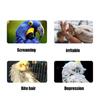 Stable Bird Training Perch Non-Slip Parrot Standing Pole Tabletop Parrot Biting Rod  Small Birds