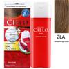 CLELO Xuanruo Crema Colorante per Capelli Giapponese - Formula a Base Vegetale per Copertura dei Capelli Grigi
