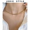 Titanium Steel 18K Gold Minimalist Elegant Horsewhip Clavicle Chain Japanese and Korean Short Necklace Necklace Female Niche Style Snake Bones Chain