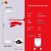 Eye-Care LED Floor Lamp for Piano & Reading
