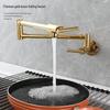 TLXT Wall-Mounted Brushed Folding Kitchen Faucet