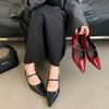 ~ French Temperament One-word Buckle with Thick Heel Mary Jane Women's Shoes Pointed Single Shoes Light Mouth Commuter High Heels
