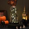 Preserved Black Roses in Glass Dome Halloween Light-up Eternal Flower in Cloche with Skull Pumpkin Statue for Home Kitchen Mantel Tabletop Decor