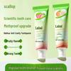 Hebei Kids Fruit-Flavored Toothpaste with Olaflur for Gum Protection & Stain Removal, Non-Spicy