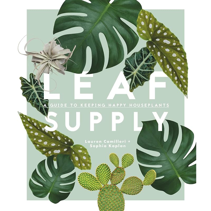 Leaf Supply: A Guide To Keeping Happy House Plants