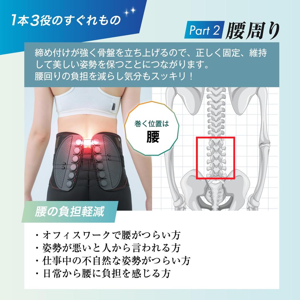 by Judo RELAXEE waist pelvic waist hunched arched gift Relaxy [Recommended therapist] supporter, belt, corset, belt, back, back, unisex, (L)