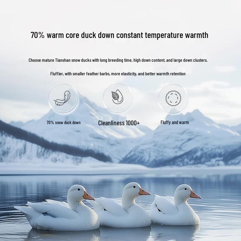 Ran Brand Premium White Duck Down Winter Duvet
