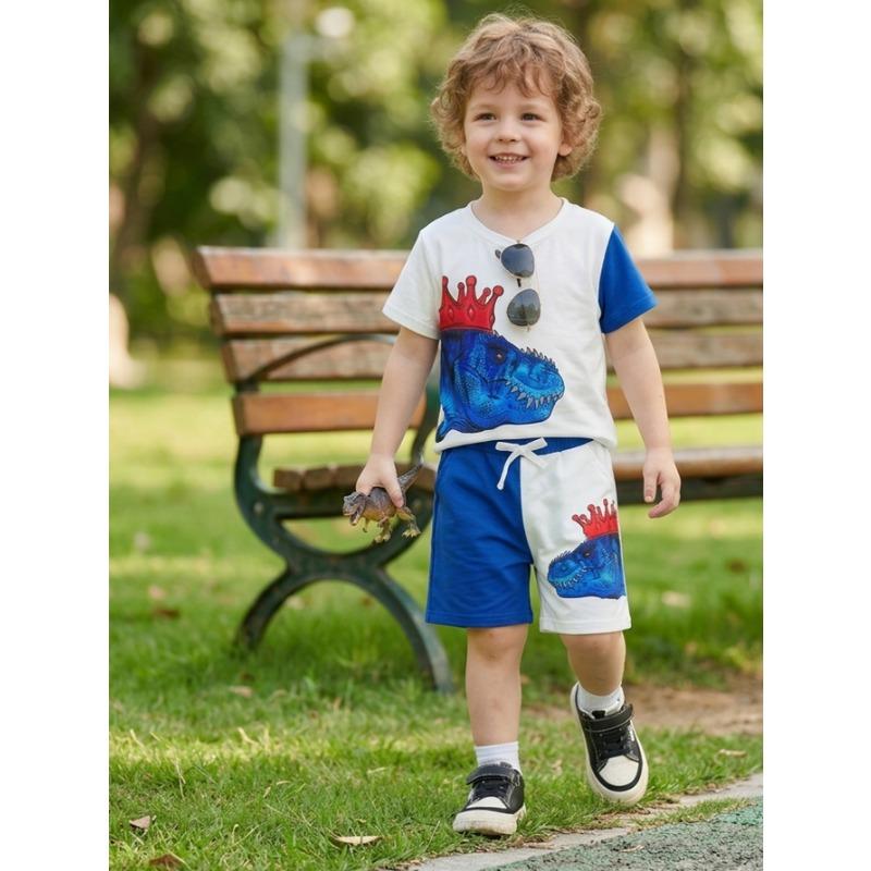 Summer Boys Clothes Set Dinosaur Print Color Block T-shirt Shorts 2Pcs 1-8 Years Toddler Kids Breathable Sporty Casual Outfit