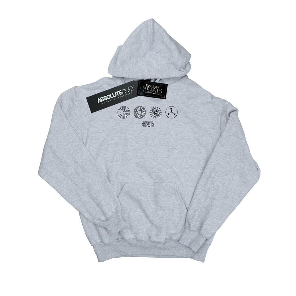 Fantastic Beasts Boys Circular Icons Hoodie