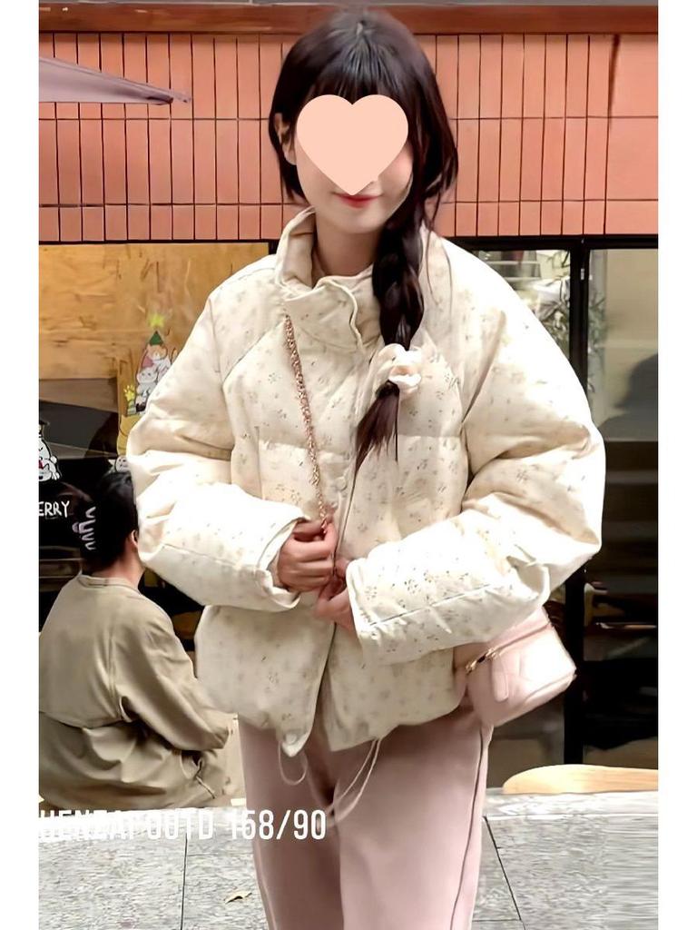 2025 Koreanischer Stil Florale Stehkragen Baumwolljacke: Frühling/Sommer, Warm, Gepolstert, Kurz, Verdickt