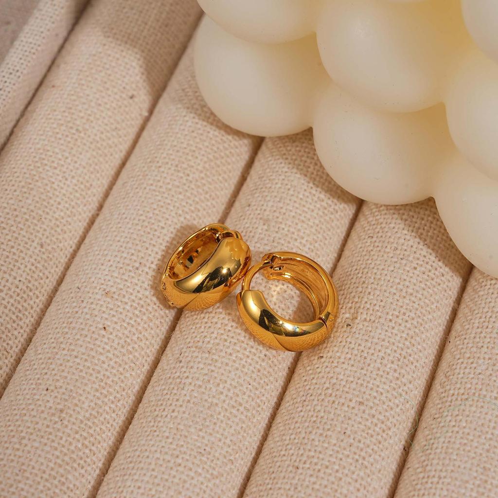 Women’s High-End Metallic Gloss Hoop Earrings, Luxurious Niche Design, 2024 Trendy Ear Hoops
