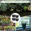 Hydroponic Net Pots 4 Pack 8.3" Black Orchid