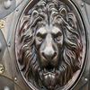 45.72 Cm Shield Medieval Lion Face Steel Shield Historical Reenactments Authentic Customize Heater Round Shield