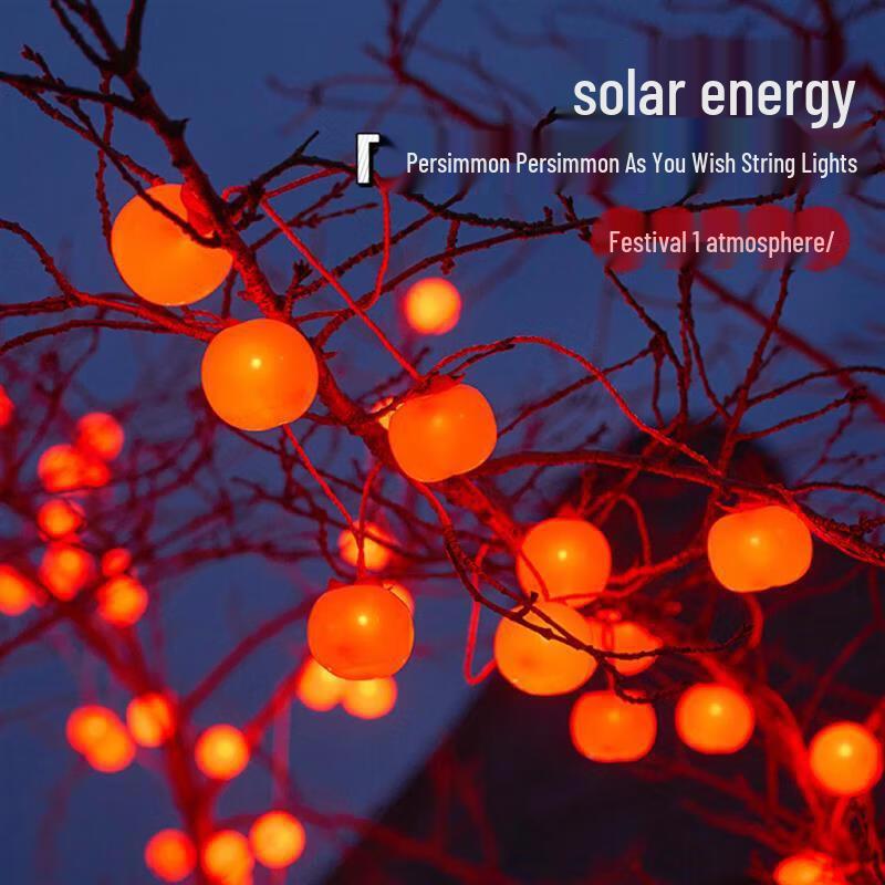 Solar & Plug-in Persimmon String Lights
