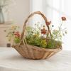 Hand-Woven Wicker Basket Versatile Shallow Oval with Arched Handle Rustic