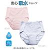 Applause Women's Stylish Lace-Lined Light Incontinence Panties for 20cc Urine Incontinence, Pink and Lavender (LL, Lavender)