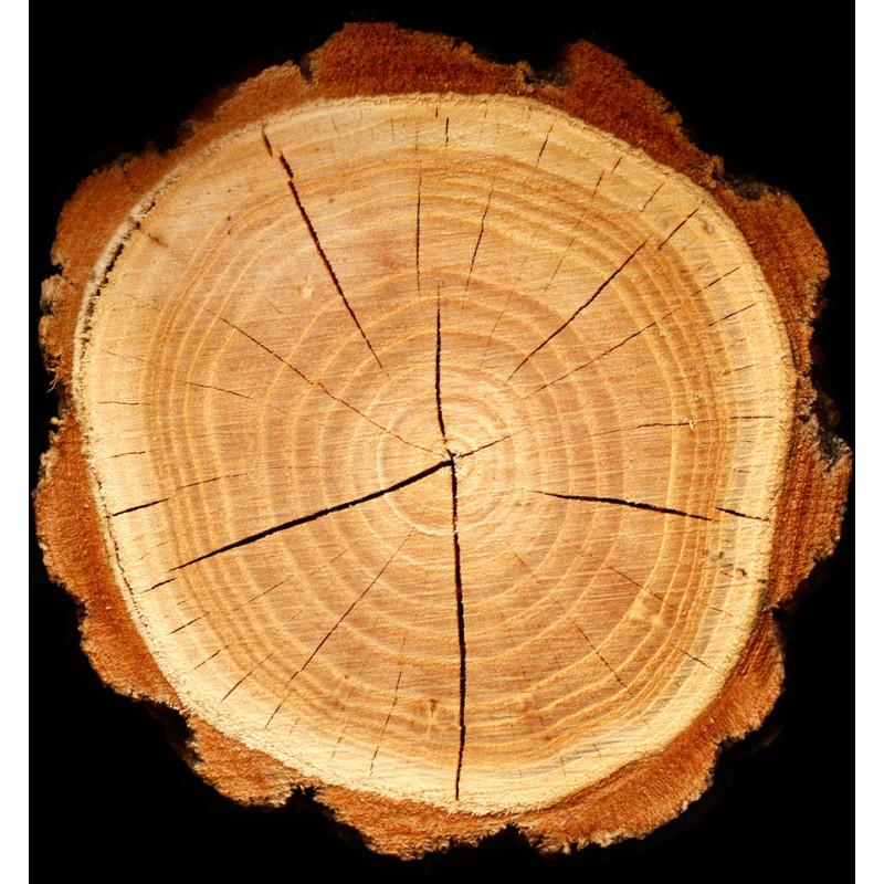 Yodeyma Platinum Water Eau De Parfum for Men 100ml