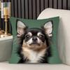 Capas de Almofada Decorativas com Estampa de Chihuahua para Cadeira Sala de Estar Capa de Almofada Aconchegante com Zíper Capas de Almofada para Sofá Quarto Decoração de Casa Interior