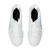 Asics Ds Light Jr Artificial Turf Round Toe Lace-Up Low-Top Soccer Shoes Kids Soccer Shoes White Blue 1104A047-102