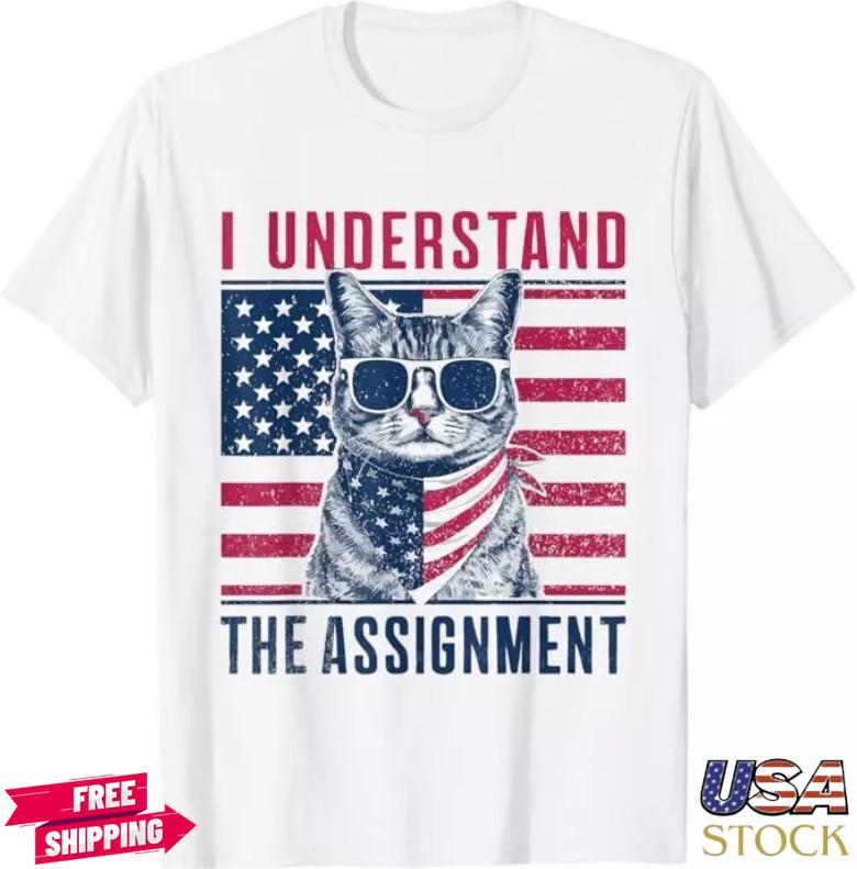 2024 I Understand The Assignment Meme T-Shirt S-5XL Unisex T-Shirt M