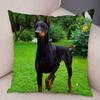 Doberman Pinscher Cushion Cover Both Sided Print Decor Pet Dog Animal Pillow Case for Car Sofa Home Soft Plush Throw Pillowcase