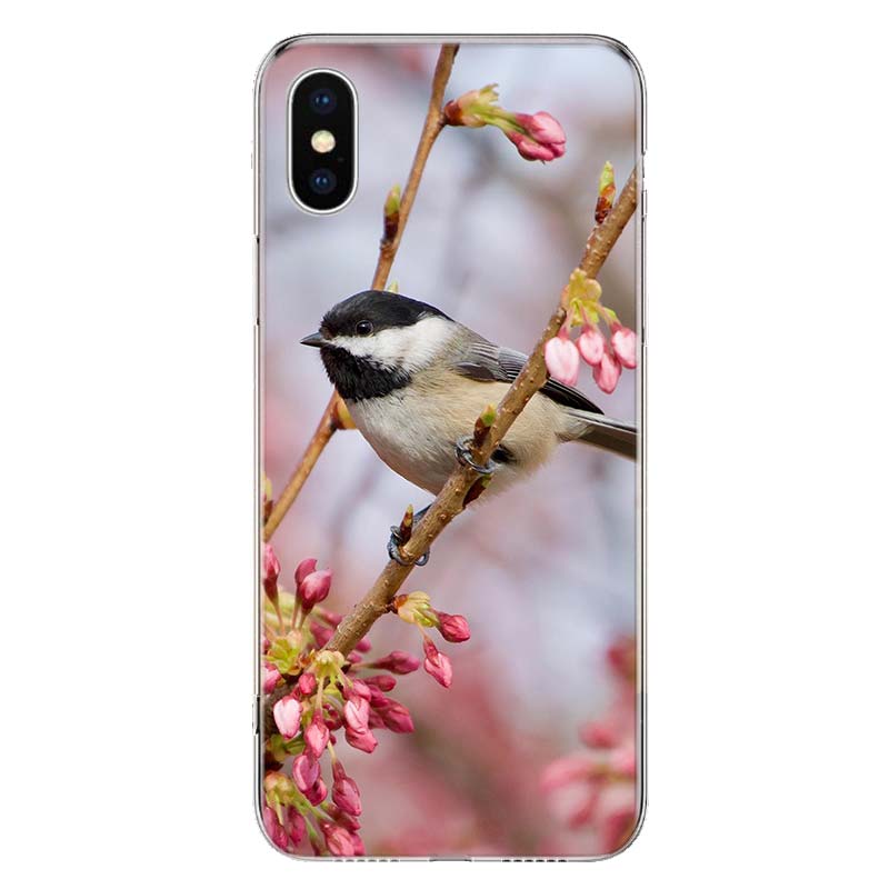 Magpie Bird Cover Phone Case For Apple iPhone 11 12 13 14 Pro 7 XR X XS Max 6 6S 8 Plus + Mini 5 SE Print Soft Cover Coque