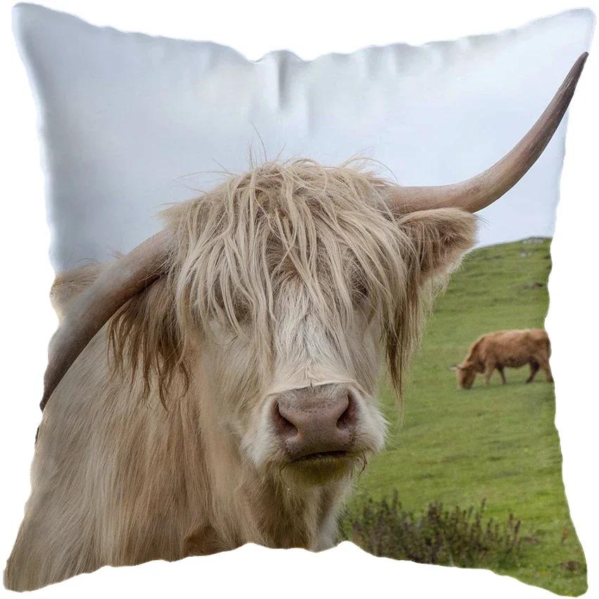 Scottish Highland Animal Print Pillowcase Home Decoration Cushion Cover Sofa