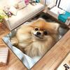 Cute Pomeranian Dog Print Crystal Velvet Rug Soft Anti Slip Living Room Floor Mat Pet Lover Home Decor Animal Themed Carpet