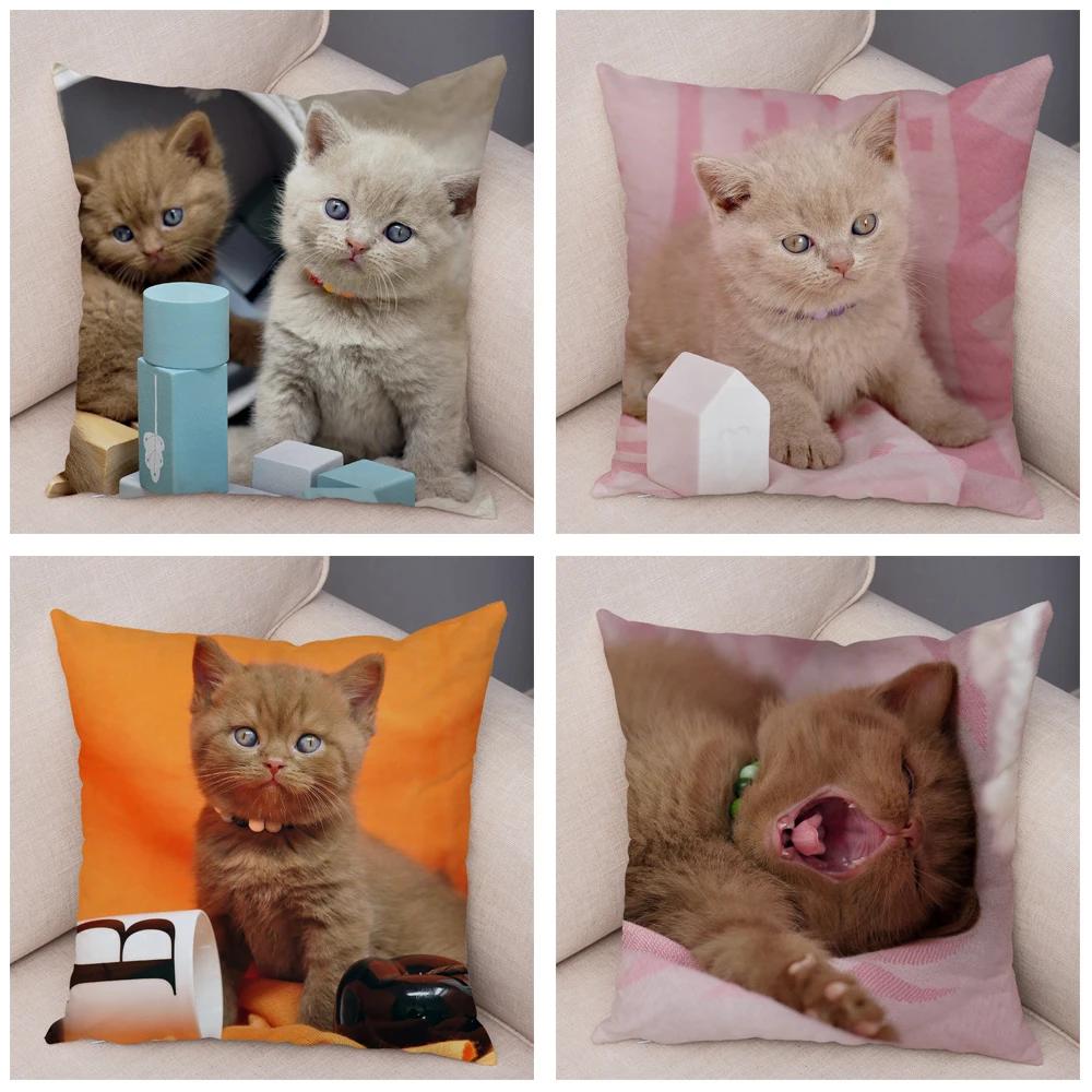 Russian Blue British Shorthair Cushion Cover Decor Cute Cat Pet Animal Pillowcase Soft Plush Pillow Case for Car Sofa Home