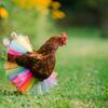 Tutu Skirt Chickens Ducks Geese Handmade Netting Ruffled Pet Costume Colorful Vertical Stripe Half