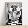 Lustige Tiere, die auf der Toilette sitzen und eine Zeitung lesen, Drucke, Badezimmer-Wanddekoration, Bilder, Affe, Hund, Kuh, WC-Wandposter