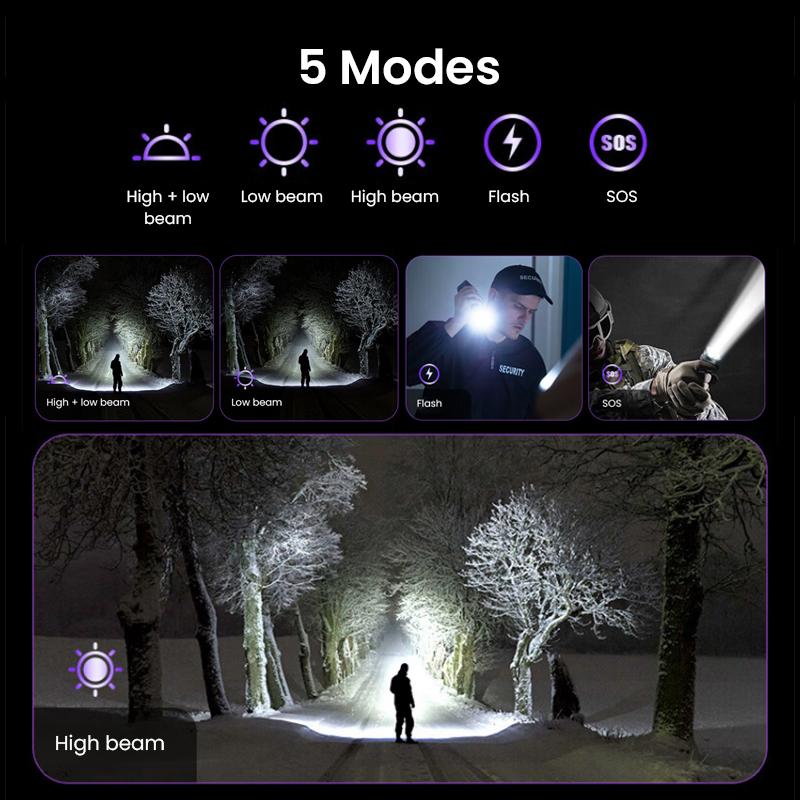 Philips Flashlight SFL2189