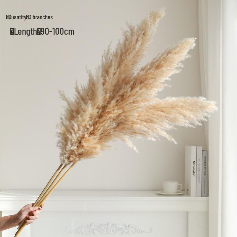 Natural Air-Dried Reed and Cattail Flower Bouquet for Floor Vase Decoration
