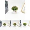 Gypsophila Paniculata L Artificial Potted Plant For Wedding Decor And Photography Props