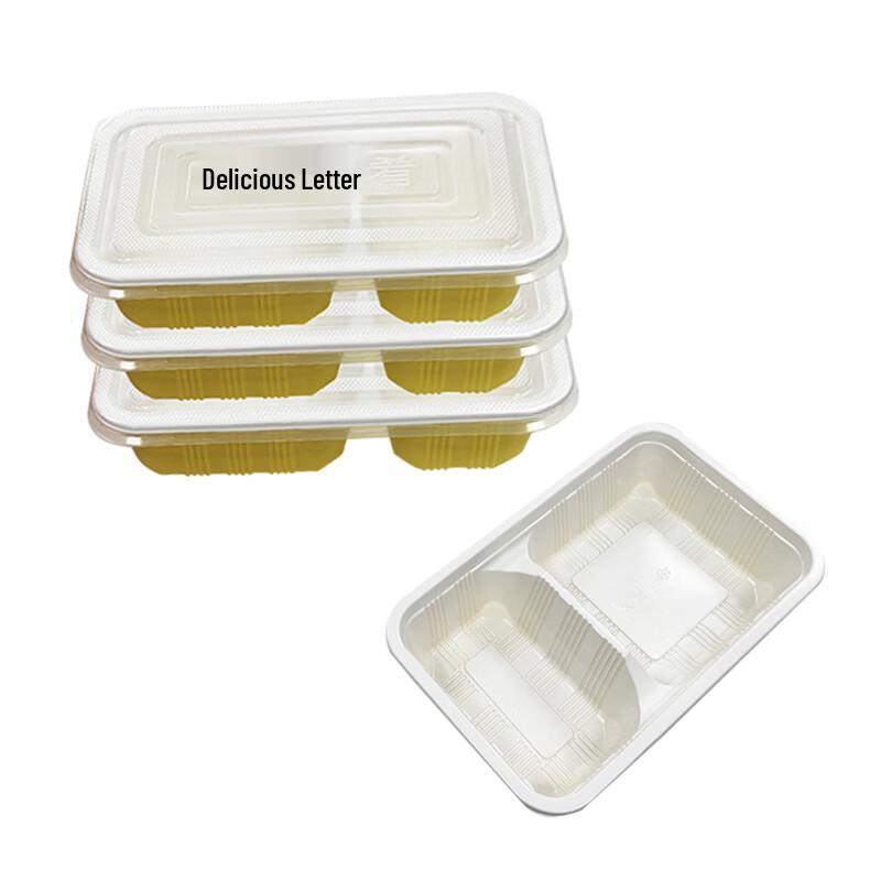 MARYYA Two-Compartment Plastic Lunch Box