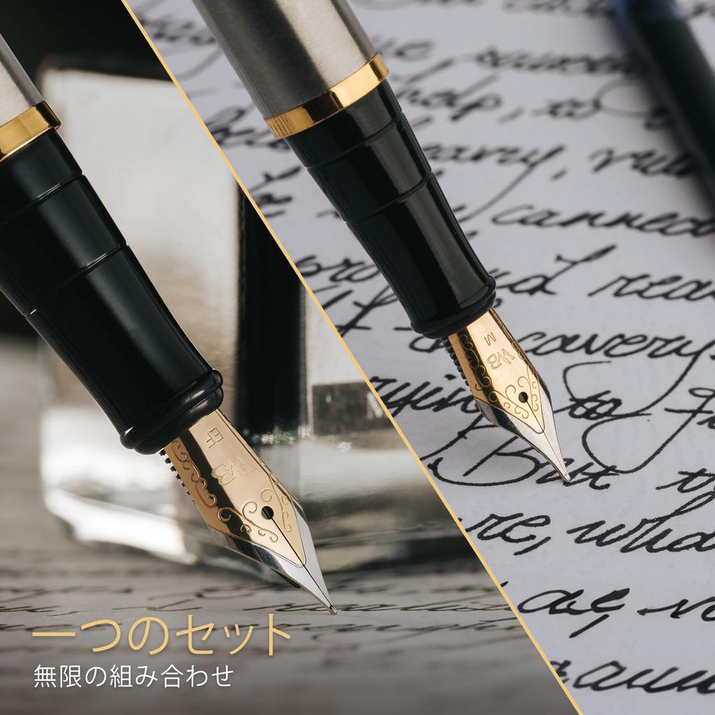 Wordsworth Black Fountain Pen Set with 18K Gold Medium and Extra Fine 25ML Black Ink 6 Ink Ink Refill Gift Pen Gift for Men and Women & Nibs, Bottle,