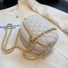 Chic Versatile Chain Shoulder Bag for Women Small Square Bag Textured Niche Monochromatic Crossbody Bag Women's Bag